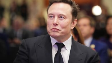 Musk Backs German Far-Right Party in Controversial Opinion Piece