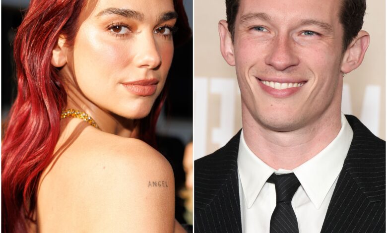 Dua Lipa and Callum Turner: A Complete Relationship Timeline