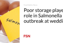 Poor storage played role in Salmonella outbreak at wedding