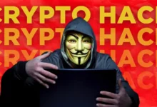 Crypto Hack Weekly Report: Phishing Attacks Dominate in 2024’s Cybercrime Surge