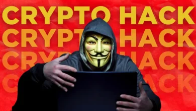 Crypto Hack Weekly Report: Phishing Attacks Dominate in 2024’s Cybercrime Surge