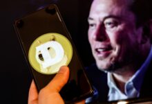 it-will-drop-elon-musk-warns-doge-could-hit-the-price-of-bitcoin-rival-dogecoin