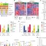 The same gene can drive distinct medulloblastoma types in different ways