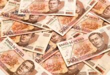 Mexican Peso dives as Banxico signals aggressive easing