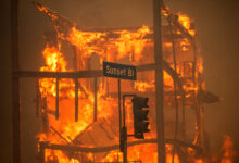 Jamie Lee Curtis Makes $1 Million Donation to L.A. Wildfire Relief Fund