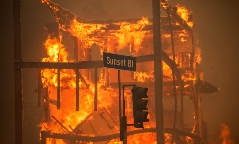 Jamie Lee Curtis Makes $1 Million Donation to L.A. Wildfire Relief Fund