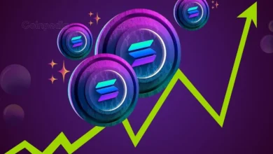 Solana-Based Altcoins Lead the Market Trend, All-Time High Incoming