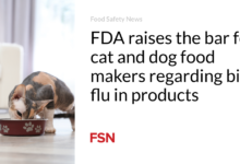 FDA raises the bar for cat and dog food makers regarding bird flu in products