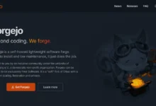 Forgejo: A self-hosted lightweight software forge