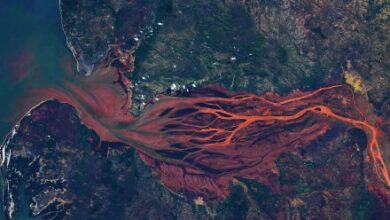 Astronaut’s stunning Earth photo looks like ‘arteries in your retina’