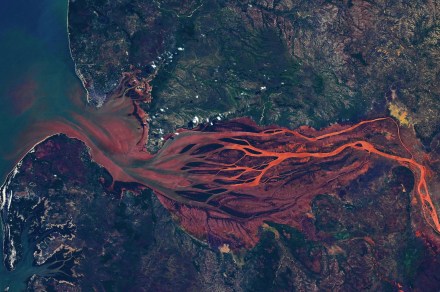 Astronaut’s stunning Earth photo looks like ‘arteries in your retina’