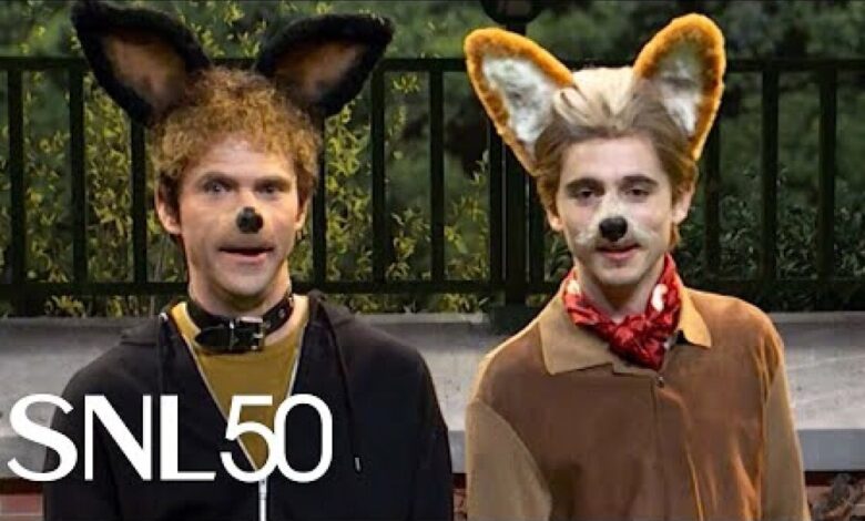 SNL: What if Timothée Chalamet was a dumb dog that did human things?