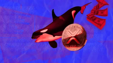 XRP News: Ripple Whales Push 120 Million XRP in Recent Market Dip