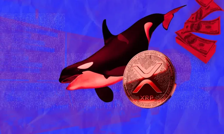 XRP News: Ripple Whales Push 120 Million XRP in Recent Market Dip