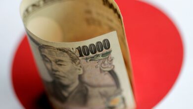 Yen set for best January in seven years as rate paths diverge