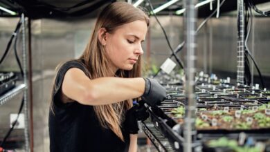 Google’s X spins out Heritable Agriculture, a startup using AI to improve crop yield