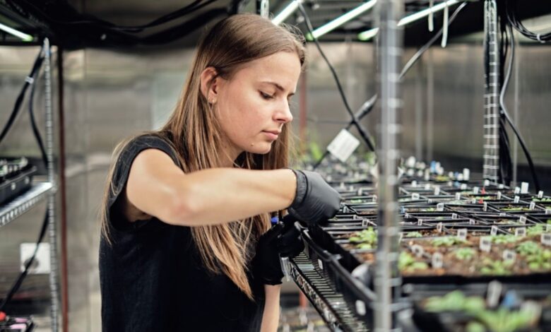 Google’s X spins out Heritable Agriculture, a startup using AI to improve crop yield