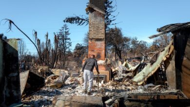 Tracking Los Angeles Wildfire Insurance Payments: More Than $4 Billion in Claims Paid Out to Victims