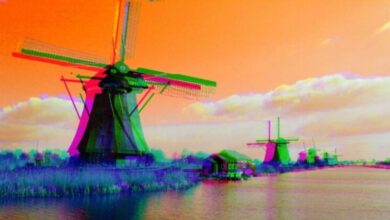 Ethical AI and climate tech are turning the Netherlands into a European innovation leader