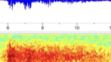 From 900 miles away, the US government recorded audio of the Titan sub implosion