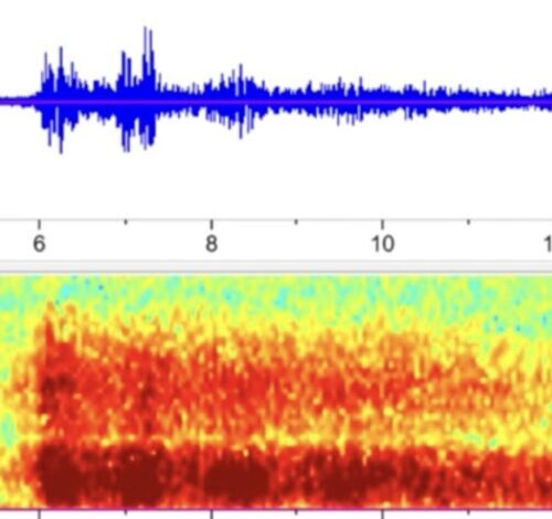 From 900 miles away, the US government recorded audio of the Titan sub implosion