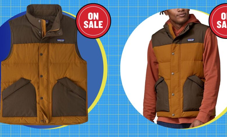 Stay Warm for Less: This Patagonia Vest is 50% off on Backcountry