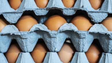 Nevada Takes a Crack at the Egg Price Problem by Loosening Law