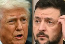 Donald Trump vs Zelensky: US official tells Ukraine to ‘tone it down’ amid President’s ‘dictator’ remark