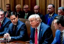 Donald Trump holds first Cabinet meeting with Elon Musk in attendance