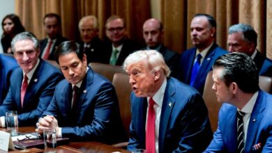 Donald Trump holds first Cabinet meeting with Elon Musk in attendance