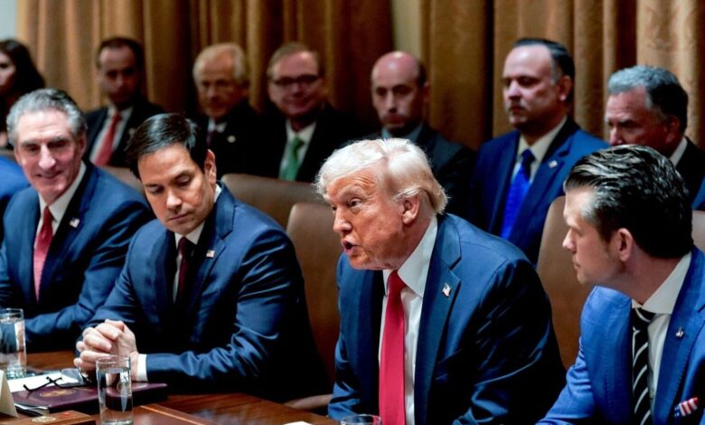 Donald Trump holds first Cabinet meeting with Elon Musk in attendance