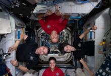 An small microbial ecosystem has formed on the International Space Station