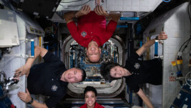 An small microbial ecosystem has formed on the International Space Station