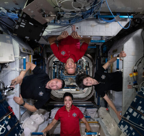 An small microbial ecosystem has formed on the International Space Station