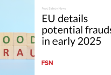 EU details potential frauds in early 2025