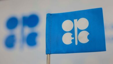 OPEC+ to proceed with planned April oil output hike, sources say