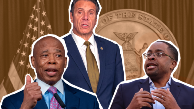 Inside the Democratic Race to Stop Andrew Cuomo