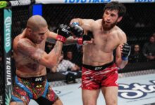 UFC legend thinks Alex Pereira lacked ‘real desire to want to win’ in UFC 313 loss to Magomed Ankalaev