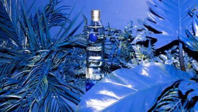 CIROC Toasts To Creatives At Blue Dot Creative Residency Happy Hour