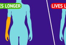 8 Things About Your Body That Could Predict a Longer Life