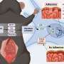 An easy-to-apply gel prevents abdominal adhesions following surgery in animal study