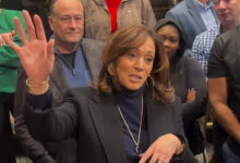 Democratic insiders complain Kamala Harris is ‘MIA’ after election: ‘Not the leadership the world needs’