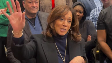 Democratic insiders complain Kamala Harris is ‘MIA’ after election: ‘Not the leadership the world needs’