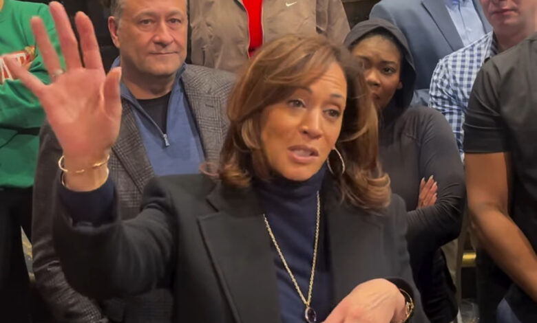 Democratic insiders complain Kamala Harris is ‘MIA’ after election: ‘Not the leadership the world needs’