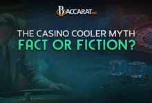 Are Casino Coolers Real?