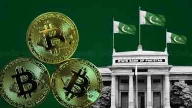 Pakistan Betting on Bitcoin Mining to Solve Its Power Problem