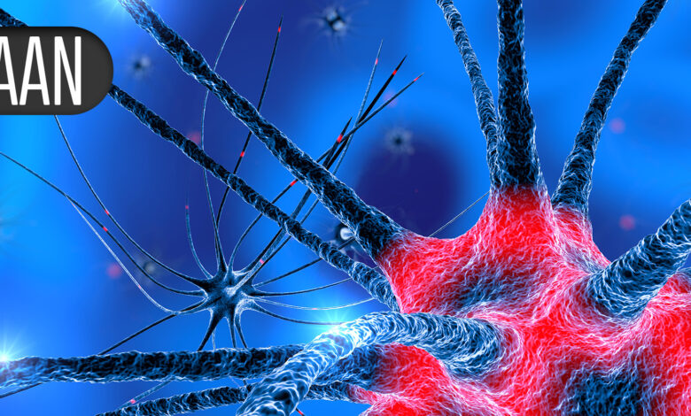 Alzheimer’s Lecanemab Treatment Up to 36 Months Supported by Extension Study