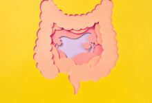 The Best Foods to Heal Your Gut After Taking Antibiotics