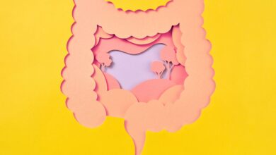 The Best Foods to Heal Your Gut After Taking Antibiotics