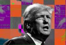 Trump says he wants to deport some US citizens, too